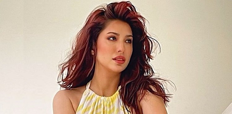 mehwish hayat, mehwish hayat reject bollywood films