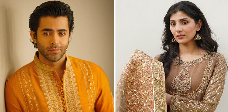 sheheryar munawar, maheen siddiqui