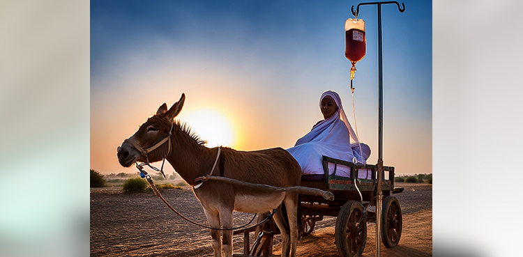 Patient, receive treatment, donkey cart, Sindh