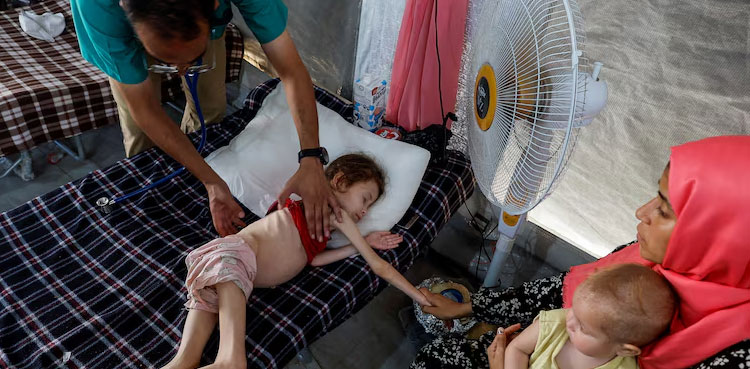 Gaza famine