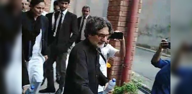 PTI's Raoof Hasan, bail, terrorism case, ATC, PTI