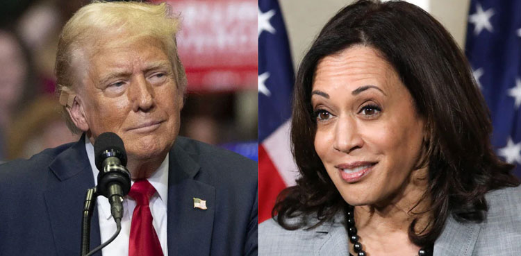 US Elections 2024, Trump vs Harris, Donald Trump , Kamala Harris