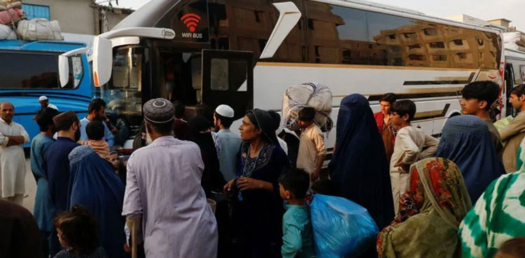 Pakistan, federal cabinet, Afghan refugees