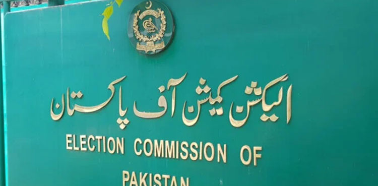 Disqualification references, SIC, Punjab, ECP