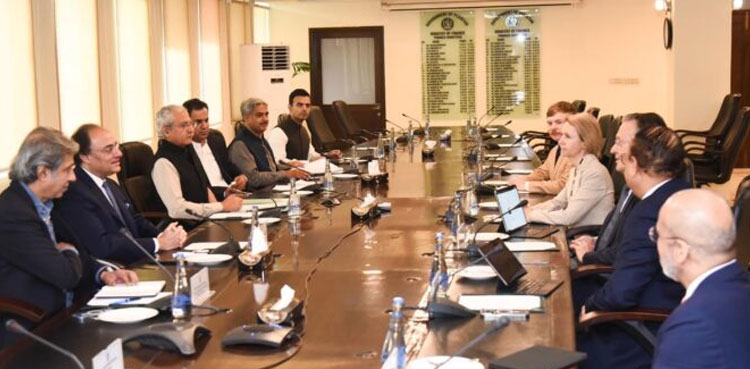 British Investment agency, Pakistan, energy sector