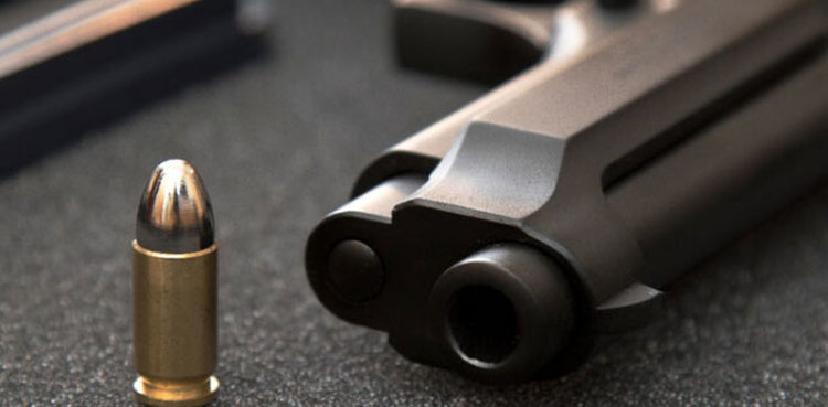 Sindh, ban, arms licences