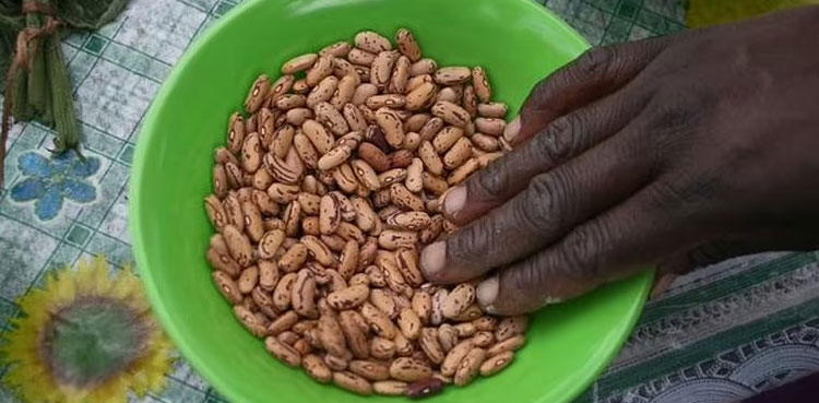 Zimbabwe drought bites