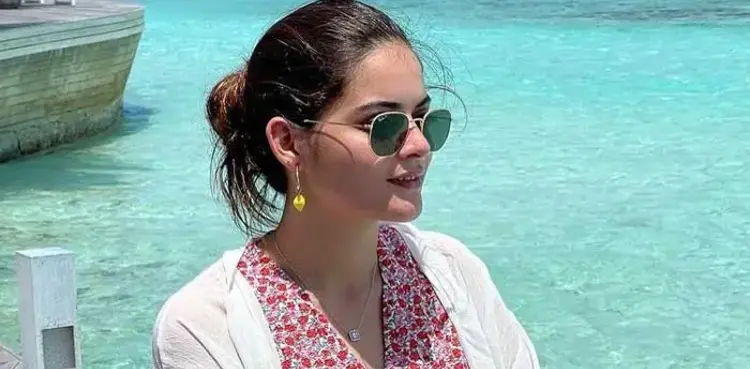 Minal Khan, viral, marriage proposal, instagram,