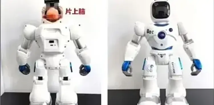 Chinese scientists, Frankenstein, robot, human brain, computer chip,