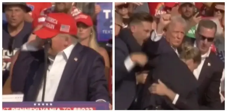 Donald Trump, viral, US president, video,