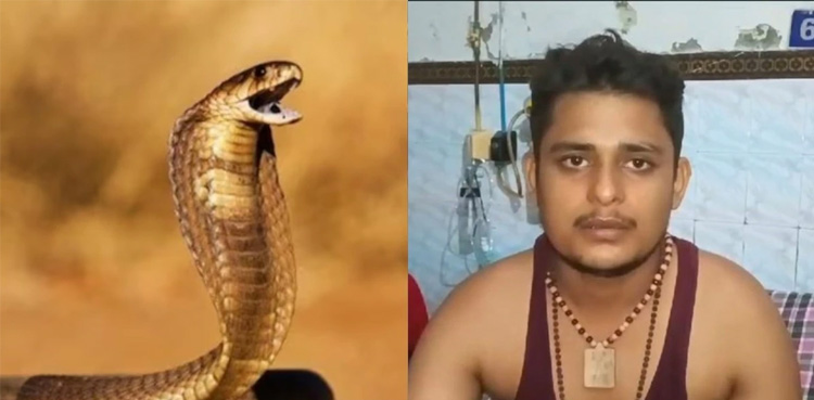 Man bitten by snake, Snake bite,
