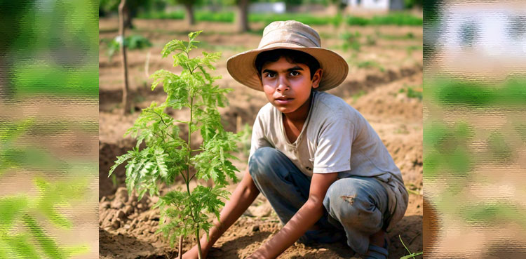 Planting trees to fight heatwave in Karachi and Pakistan