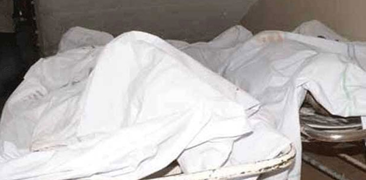 Karachi, fatalities, road accidents, robbery resistance, Chipa Foundation