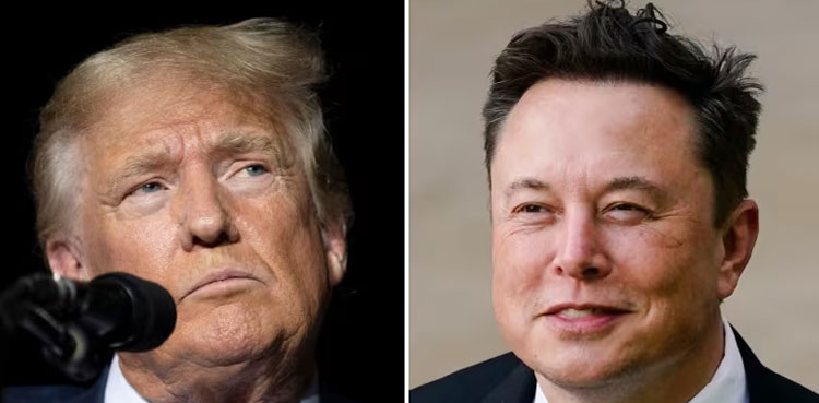 Donald Trump, Elon Musk