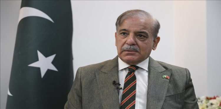 PM Shehbaz Sharif, South Korea, plane crash