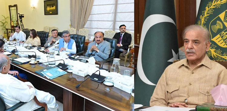 PM Shehbaz seeks transfer plan of PWD projects to provinces