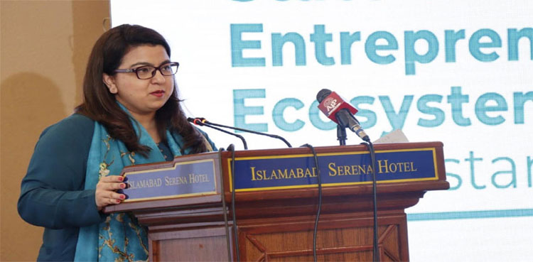 The Minister of State for IT and Telecommunication, Shaza Fatima Khawaja, e-Rozgar centres, Youth jobs