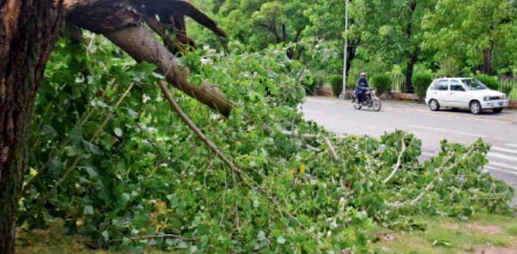 strong winds, northern China, hundreds flights cancelled,