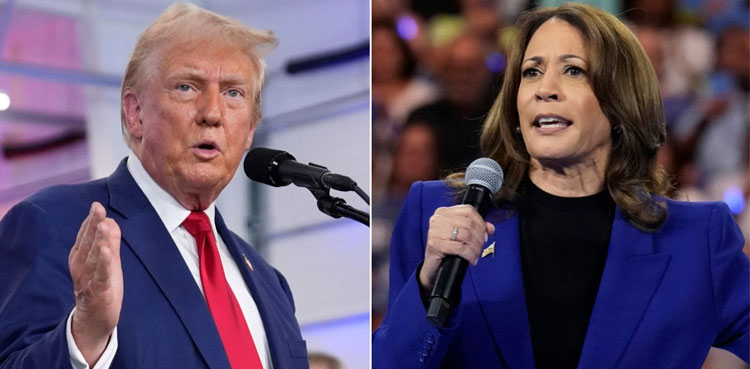 US Election Results: Swing states history and 2024 poll indications