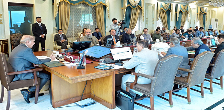 federal cabinet, Federal cabinet ML-1, PM Shehbaz