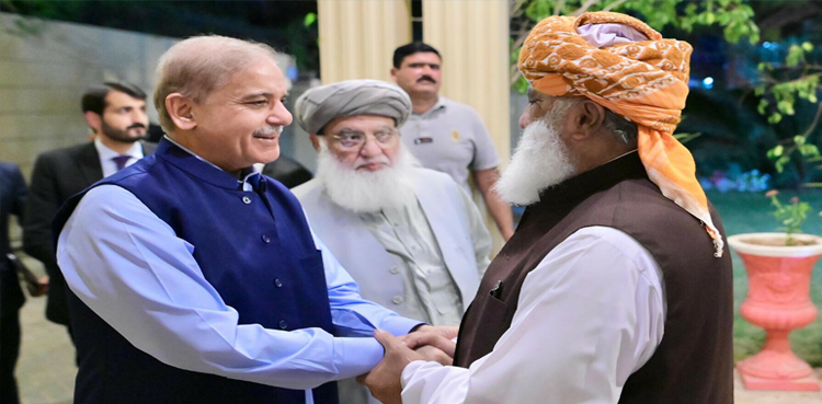 Seminary bill, Shehbaz Sharif, Fazlur Rehman meeting