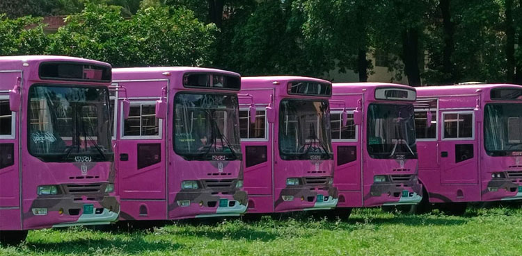 Islamabad, Pink bus service, female students teachers
