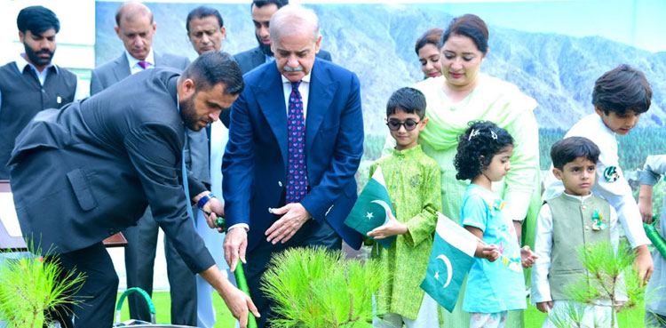 PM Shehbaz, plantation drive