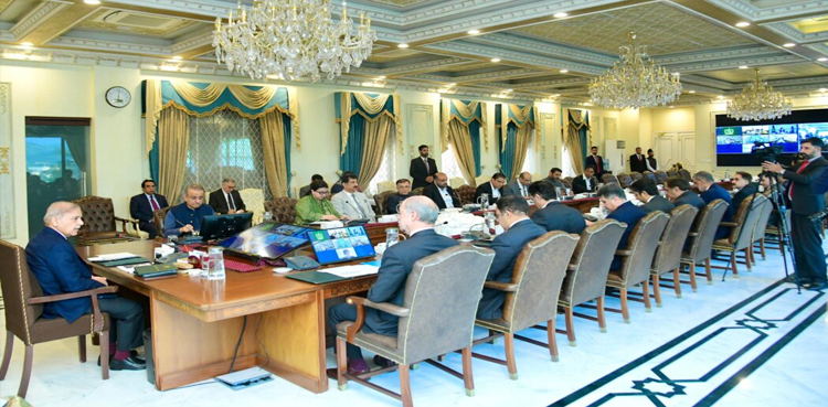 PM Shehbaz, Ease of Doing Business