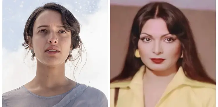 Bad Newz, Triptii Dimri, Bollywood, Parveen Babi,