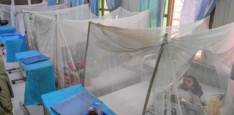Mosquito net, Pakistan, The Global Fund, Malaria 