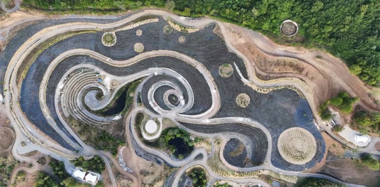 starry night park, bosnia, van gogh