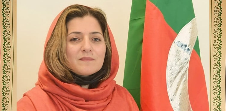 PTI senator, Falak Naz, suspended, abusive remarks, Faisal Vawda