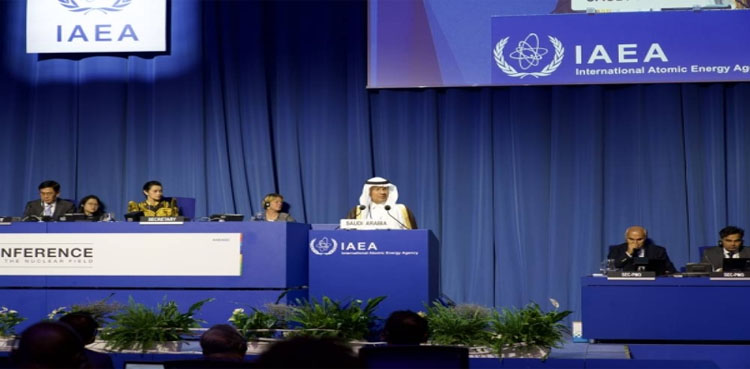 Saudi Arabia nuclear plant, Saudi nuclear power plant, nuclear energy
