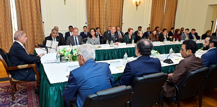 PM Shehbaz Sharif,   US investments in Pakistan,