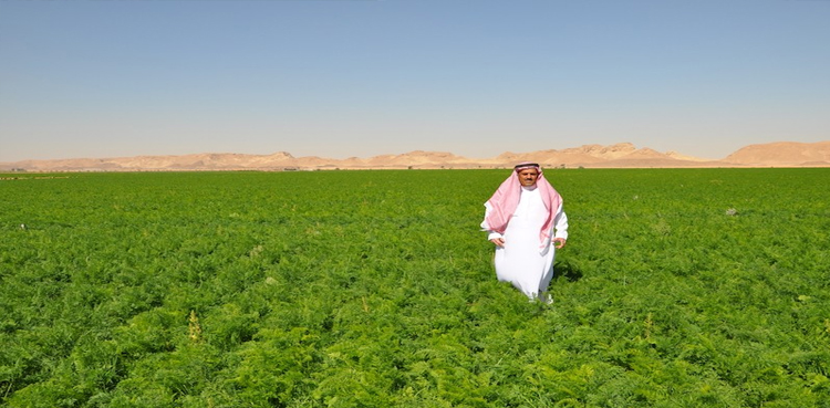 Saudi agriculture growth, Saudi Arabia, Saudi Minister for Agriculture