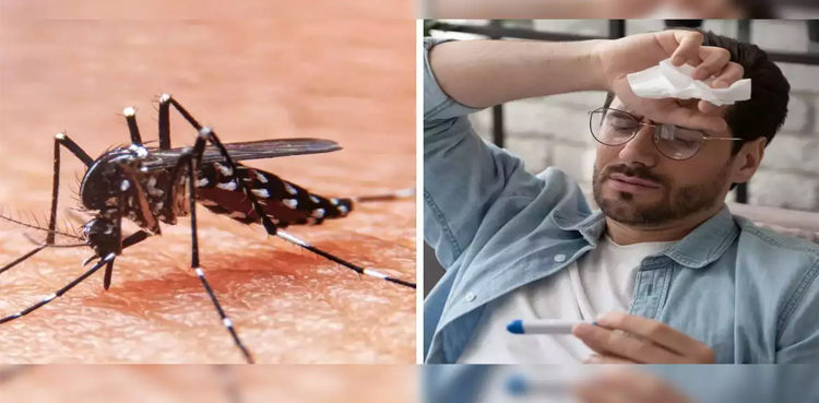WHO, Chikungunya