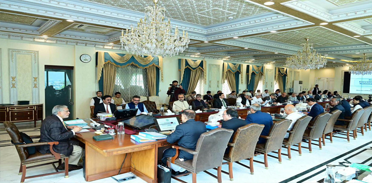 ECNEC, projects approved