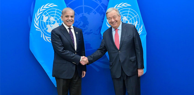 PM SHehbaz UN Kashmir