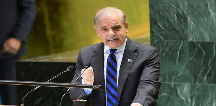 PM Shehbaz