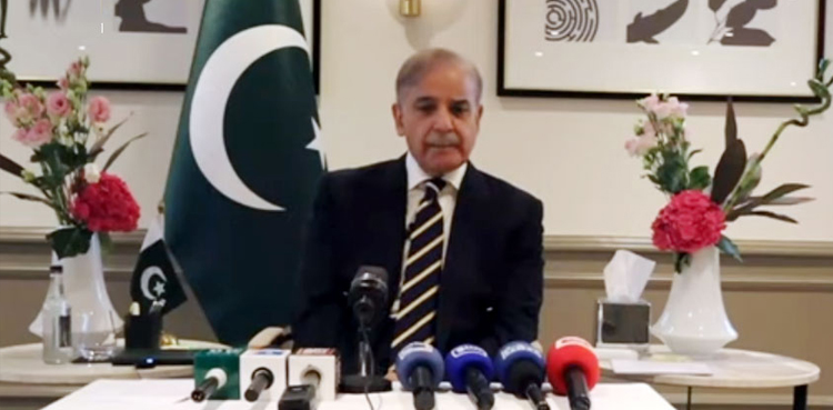 PM Shehbaz, Pakistan Afghanistan, Federal Cabinet, Pakistan Afghanistan TTP