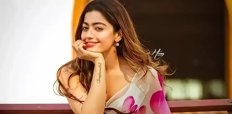 Rashmika Mandanna, Bollywood, Animal, pushpa