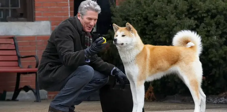 netflix, Hachi: A Dog's Tale, richard gere, hollywood,