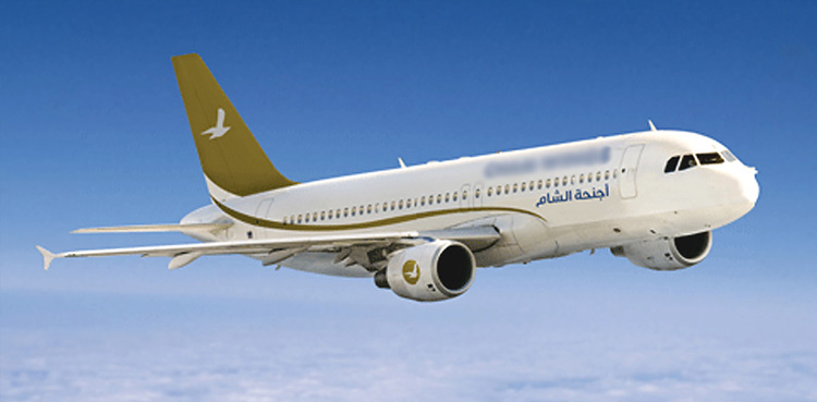 CAA allows, foreign airline, repatriate Pakistanis, Lebanon