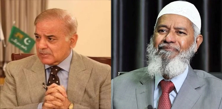 PM Shehbaz Zakir Naik