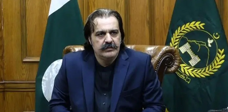 PTI founder's sons, party movement, Ali Amin Gandapur