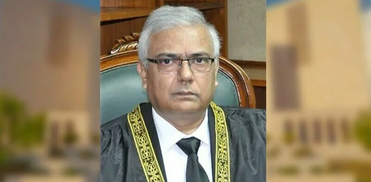 constitutional bench