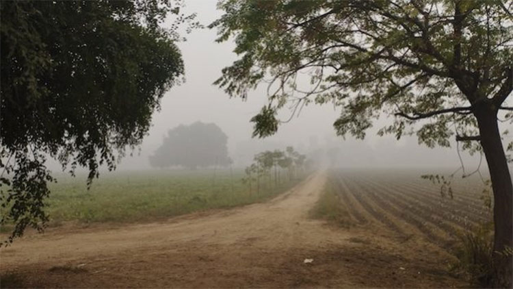 Lahore Smog: With the Sun Out, the Government Lifts Restrictions