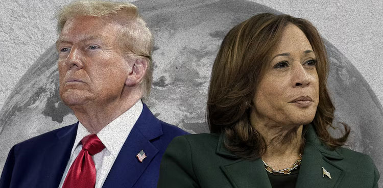 US Elections 2024, Trump vs Harris, Donald Trump , Kamala Harris