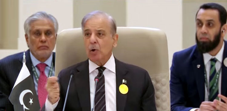 Extraordinary Arab-Islamic Summit , PM Shehbaz