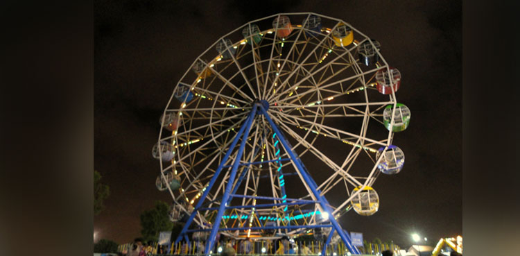 hairs stuck ferris wheel, viral india ferris wheel